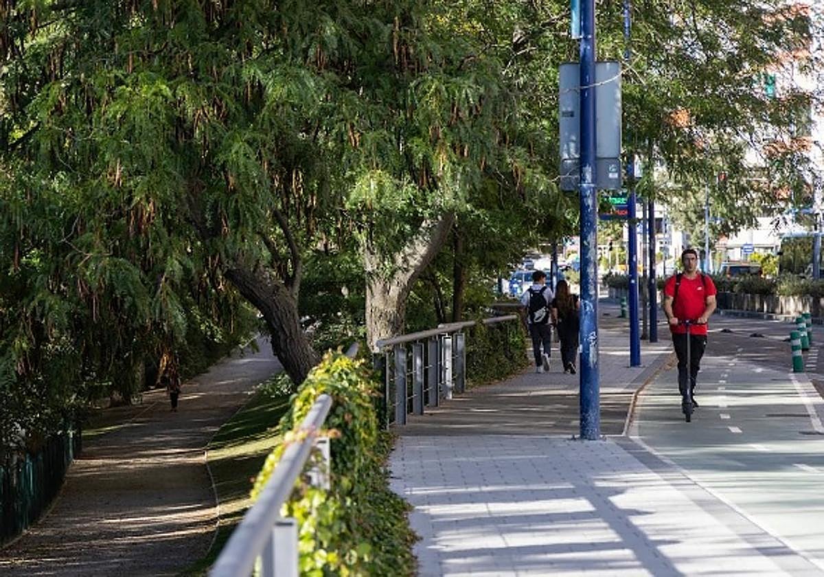 Otoño y sus circunstancias