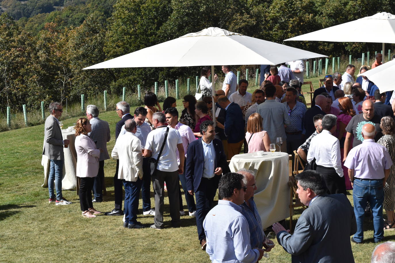 Celebración del Día de la Provincia en Cervera de Pisuerga