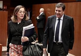 Carlos Fernández Carriedo entra en el hemiciclo de las Cortes de Castilla y León acompañado por la consejera González Corral.