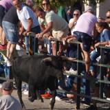 Un hombre de 60 años recibe una cornada en el cuello en el encierro de Olmedo