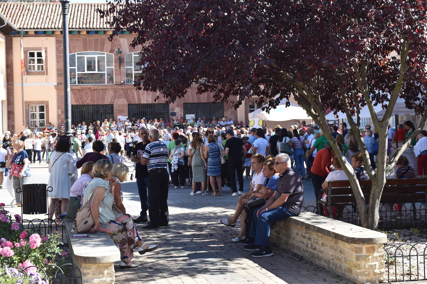 Cervera se tiñe de tradiciones en el Día de la Provincia