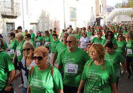 Cientos de personas participan en la marcha cuellarana.