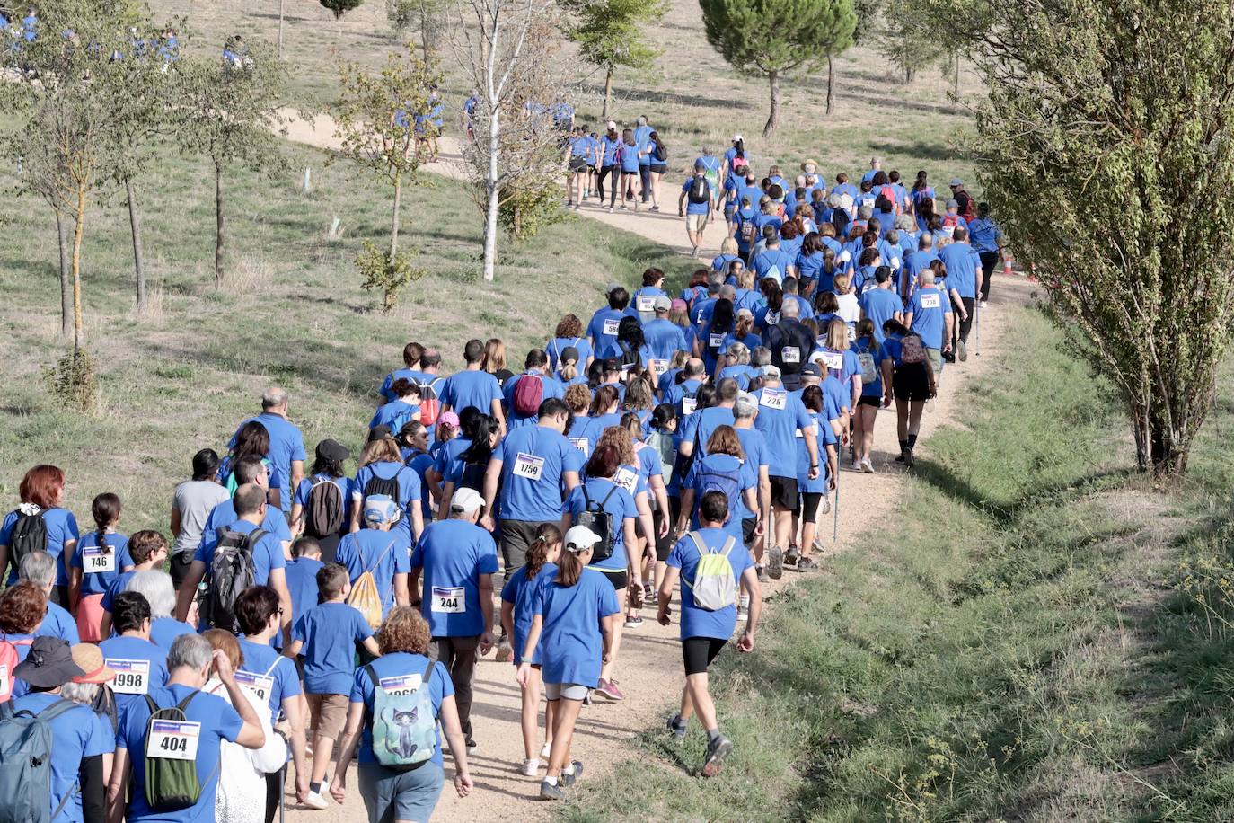 El éxito de participación en la Caminata Popular del Banco de Alimentos, en imágenes