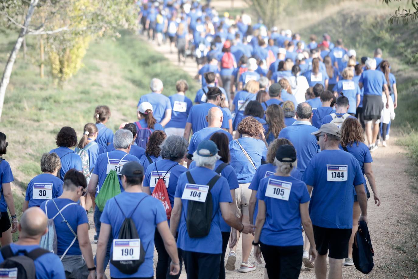 El éxito de participación en la Caminata Popular del Banco de Alimentos, en imágenes