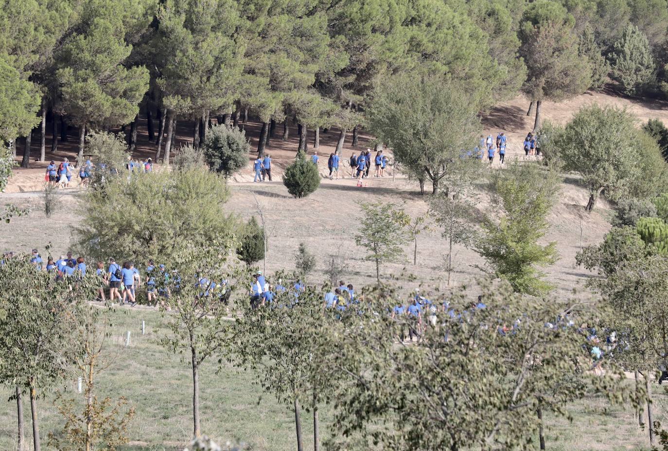 El éxito de participación en la Caminata Popular del Banco de Alimentos, en imágenes