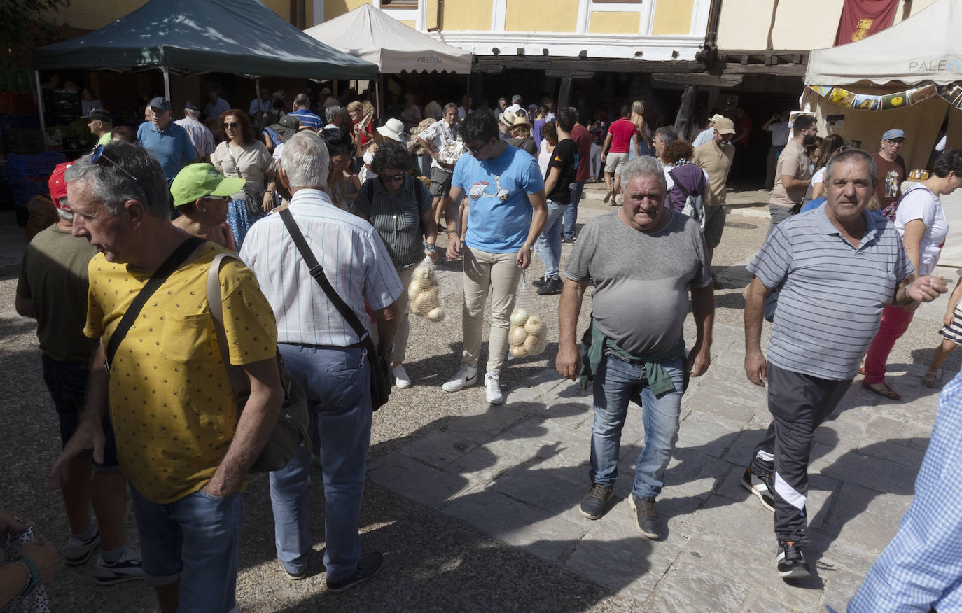 Palenzuela presume de su cebolla horcal