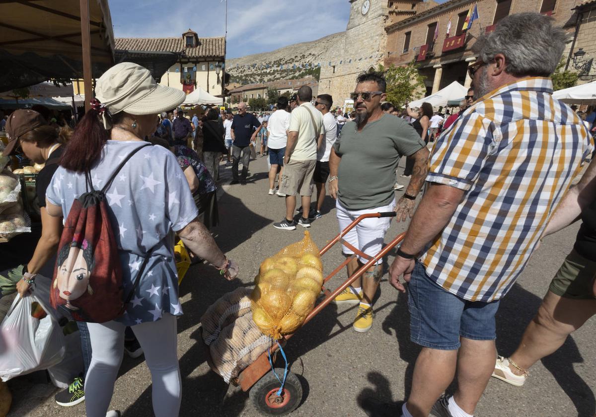 Palenzuela presume de su cebolla horcal