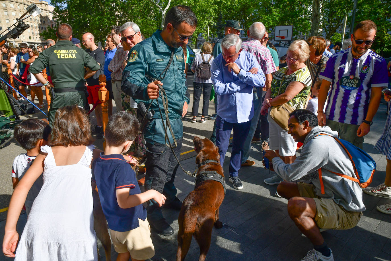 Niños y mayores fotografían a los dos perros del TEDAX de la Guardia Civil en la Acera Recoletos.