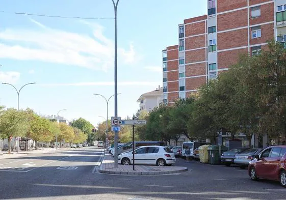 Avenida de San Telmo de la capital palentina.