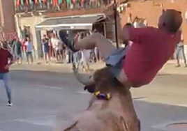 Momento en el que el astado embiste a Juan de la Mota.