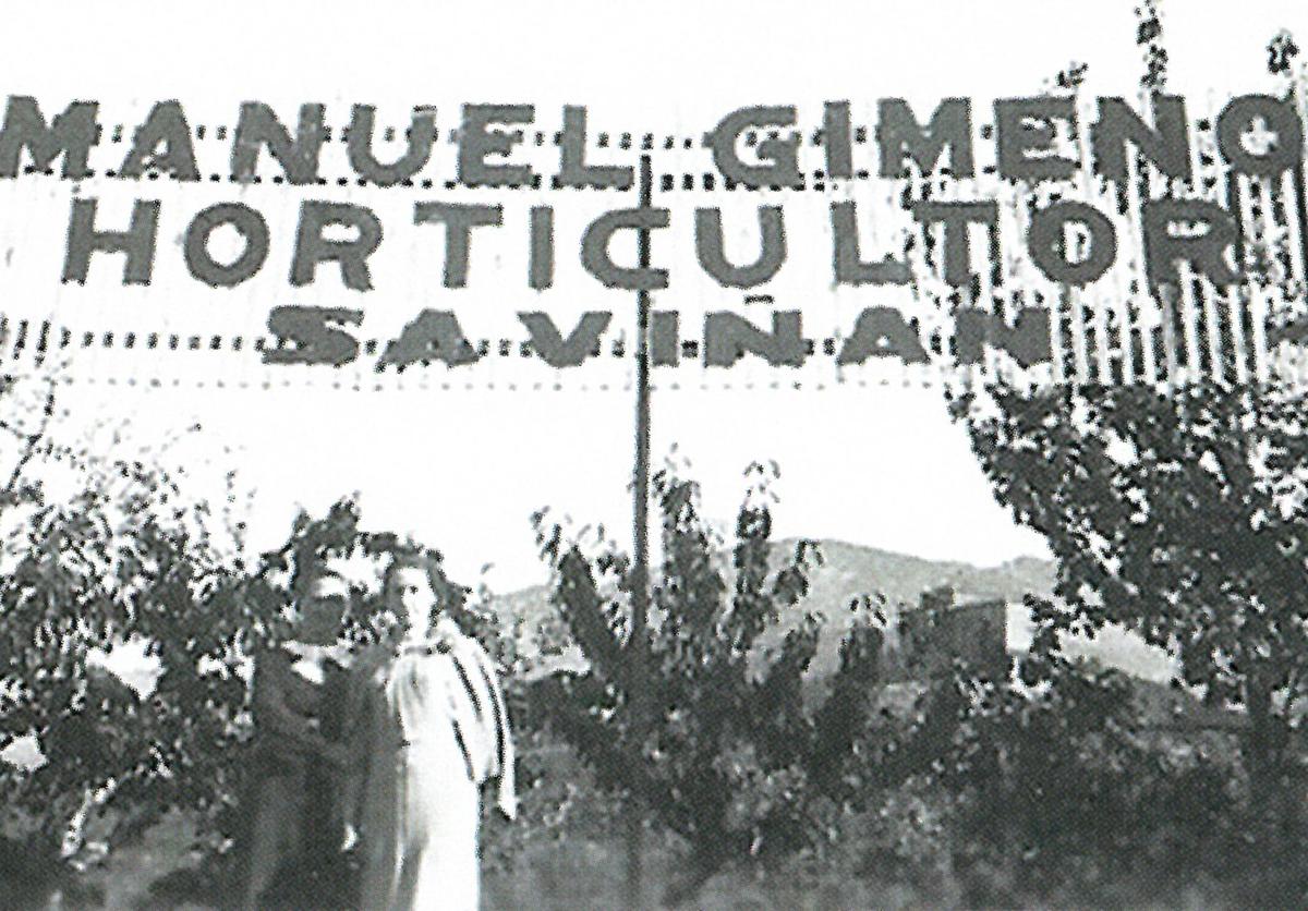 Imagen principal - Arriba, vivero de Manuel Gimeno en Sabiñán. Abajo, María Luisa Casares y Jesús Gimeno, abuelos de los actuales propietarios del Centro de Jardinería Viveros Gimeno.