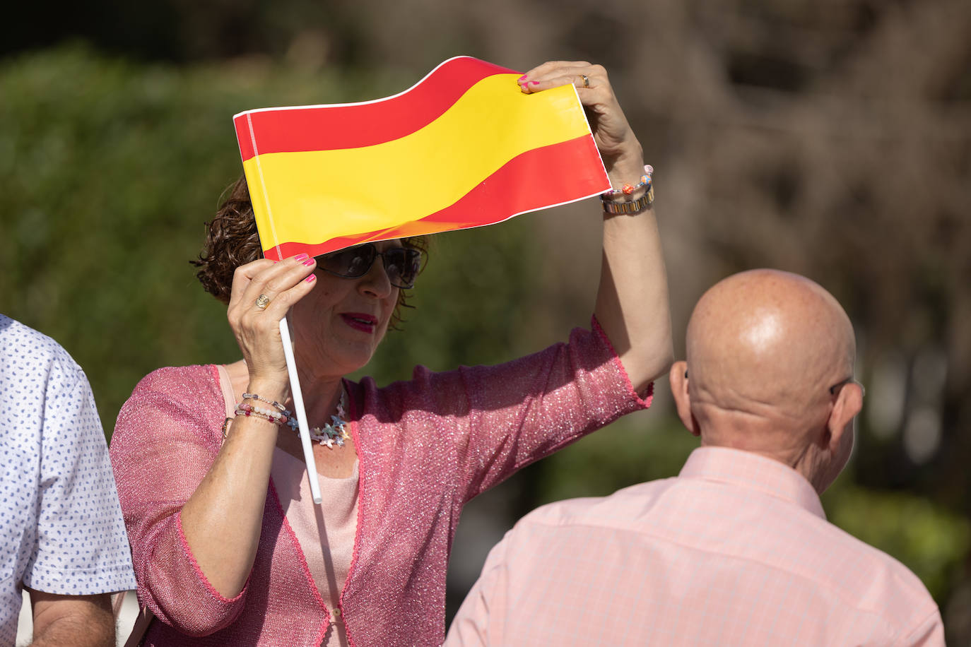 La celebración institucional del Día del Pilar en Valladolid
