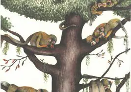 Una ilustración de María José Arce en 'Sueño animal'.