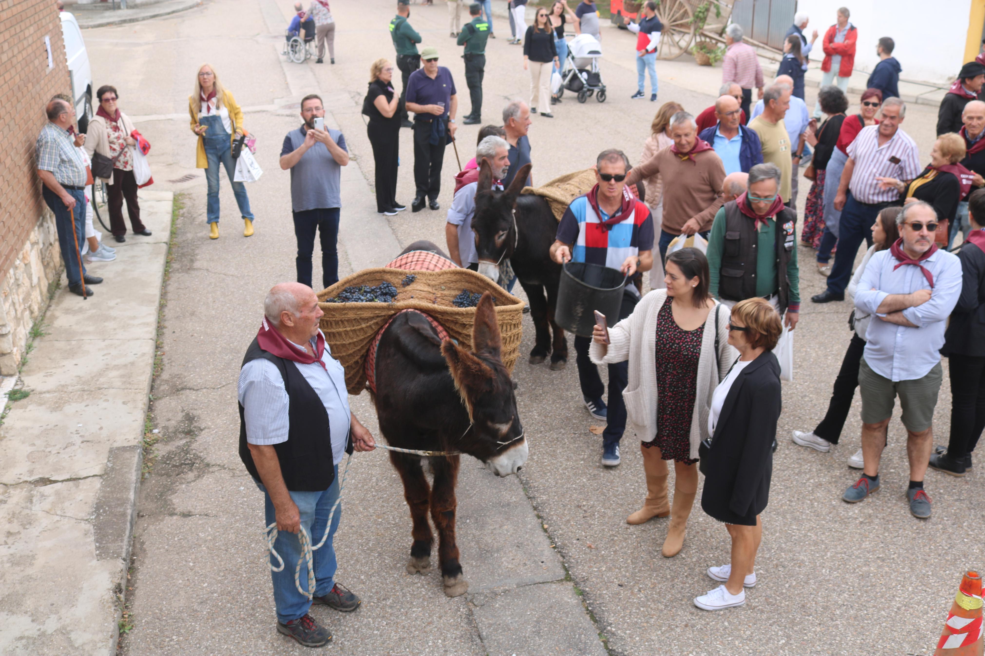 XXIV Fiesta de la Vendimia en Quintana del Puente