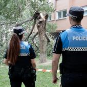 Diez salidas de los Bomberos en seis horas por culpa del vendaval