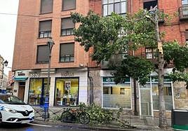 Caída de ramas en la calle Angustias de Valladolid este martes por el fuerte viento.