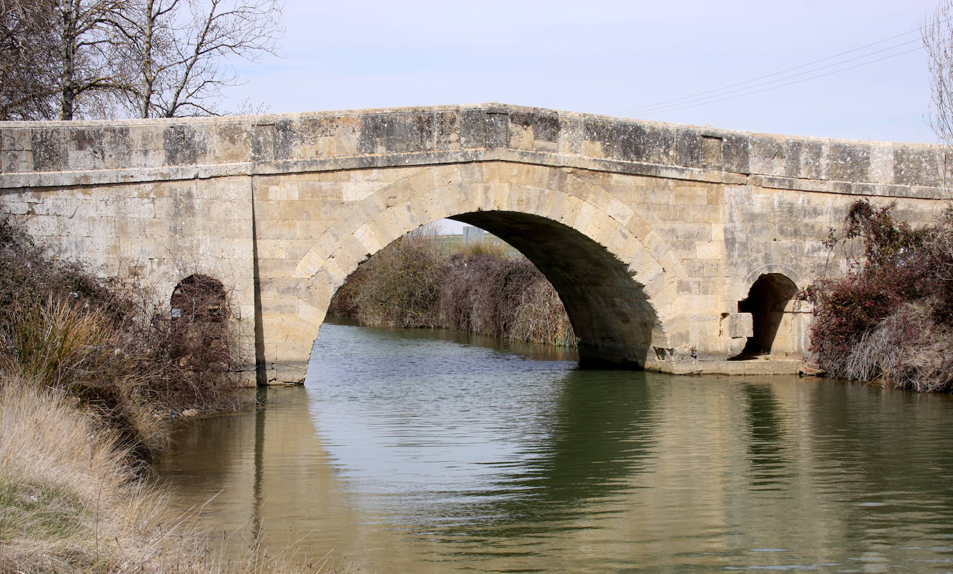 Imágenes del Canal de Castilla, lugar de inspiración para el escritor Pascual Izquierdo