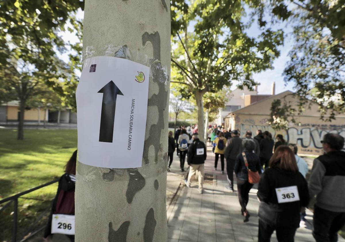 Marcha por el daño cerebral en Valladolid