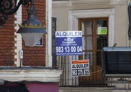 Carteles que anuncian el alquiler de viviendas en Valladolid.