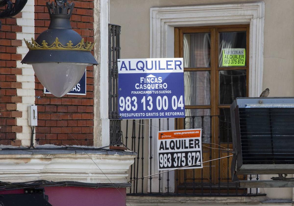 Carteles que anuncian el alquiler de viviendas en Valladolid.