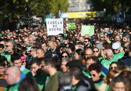 Asistentes a la Marcha Contra el Cáncer de Valladolid el año pasado.