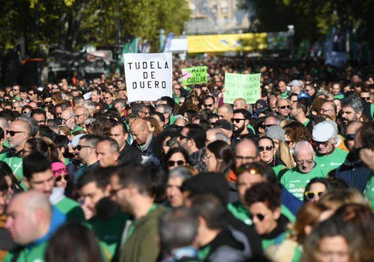 Asistentes a la Marcha Contra el Cáncer de Valladolid el año pasado.