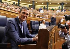 El presidente del Gobierno en funciones, Pedro Sánchez, durante una sesión plenaria, en el Congreso de los Diputados.