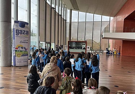 Escolares que acuden a una de las sesiones de la Miniminci, patrocinada por Leche Gaza.