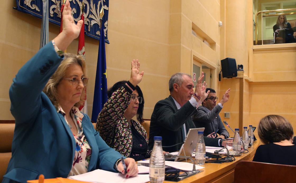 El pleno en imágenes