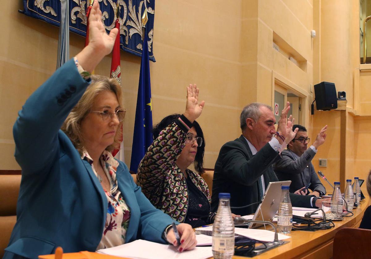 Votación en el pleno.