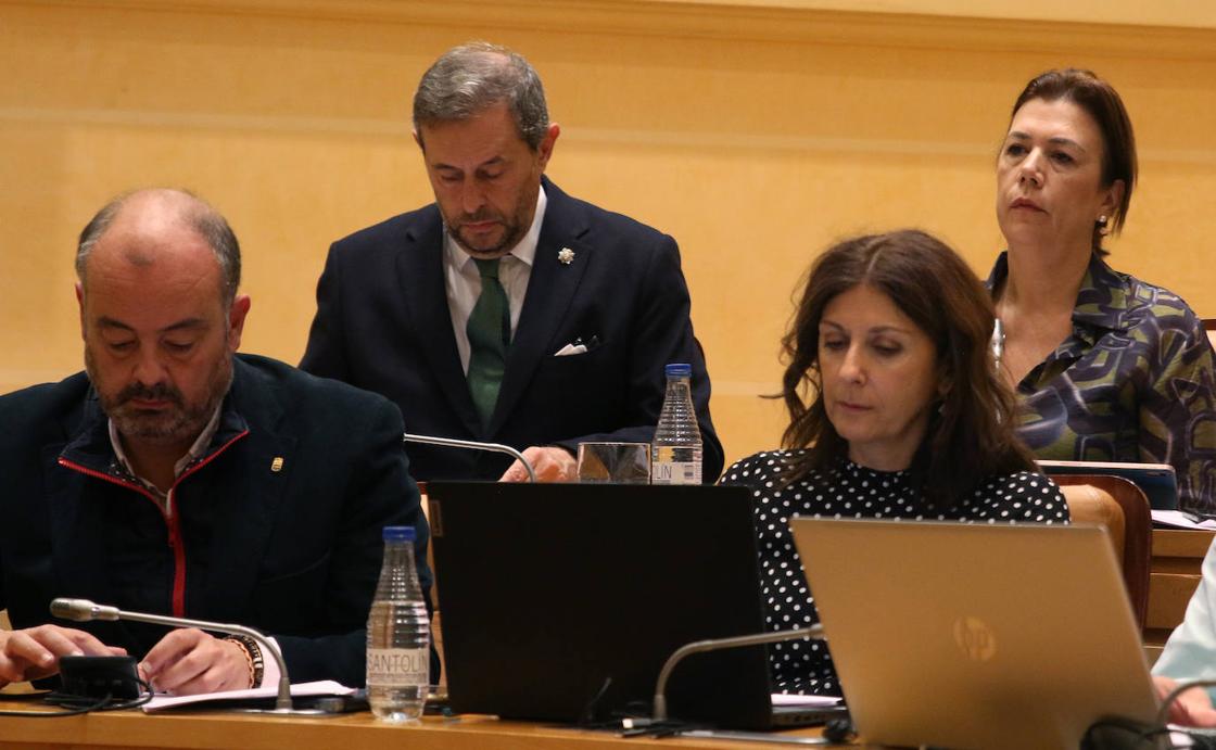 El pleno en imágenes