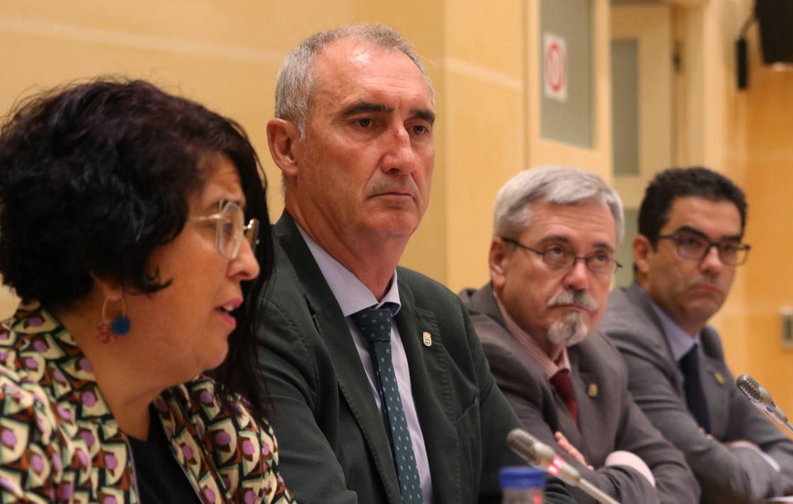 El pleno en imágenes