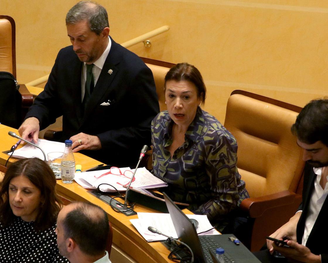 El pleno en imágenes