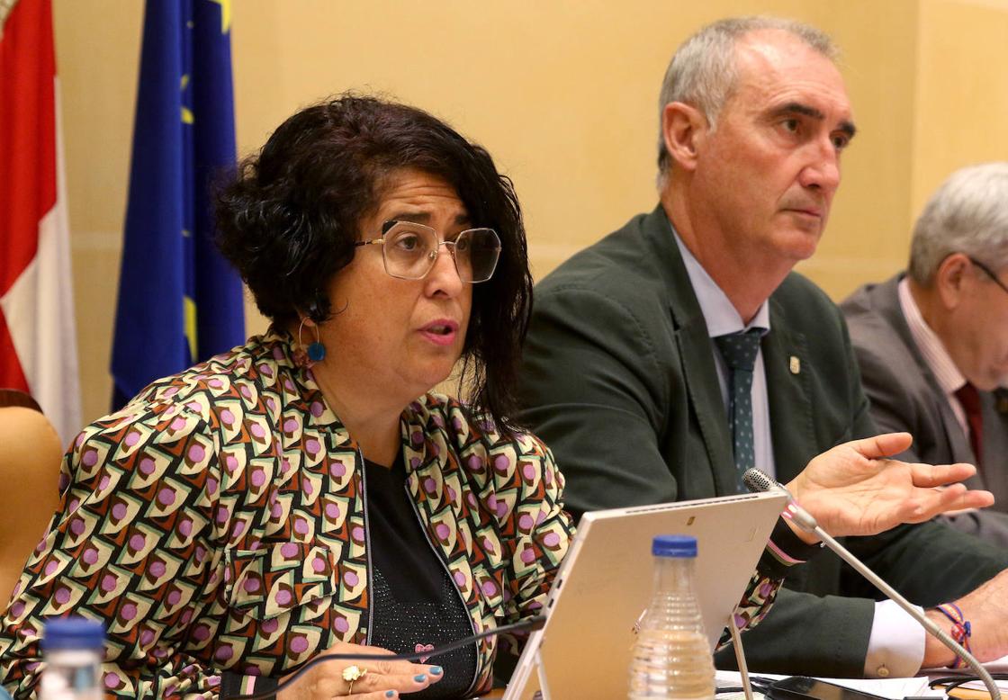 El pleno en imágenes