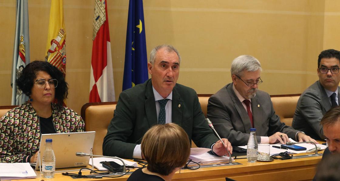 El pleno en imágenes