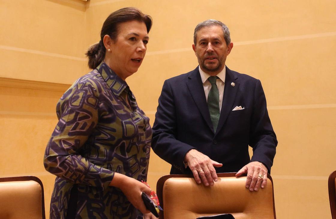 El pleno en imágenes