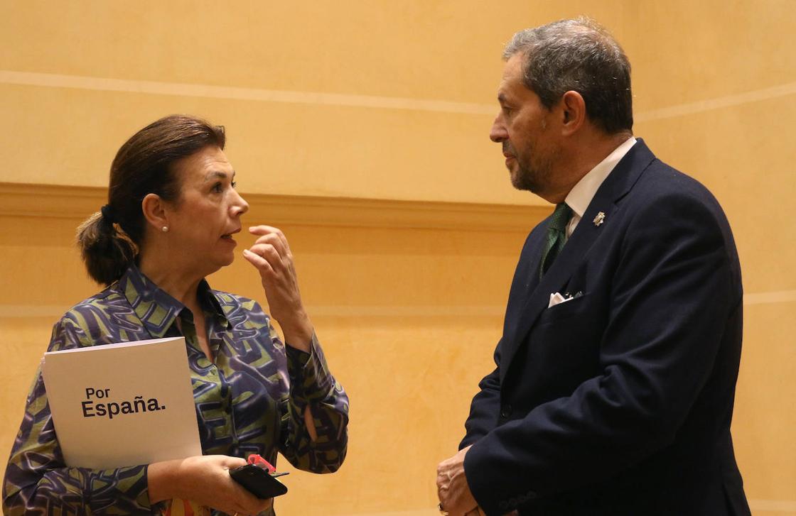 El pleno en imágenes