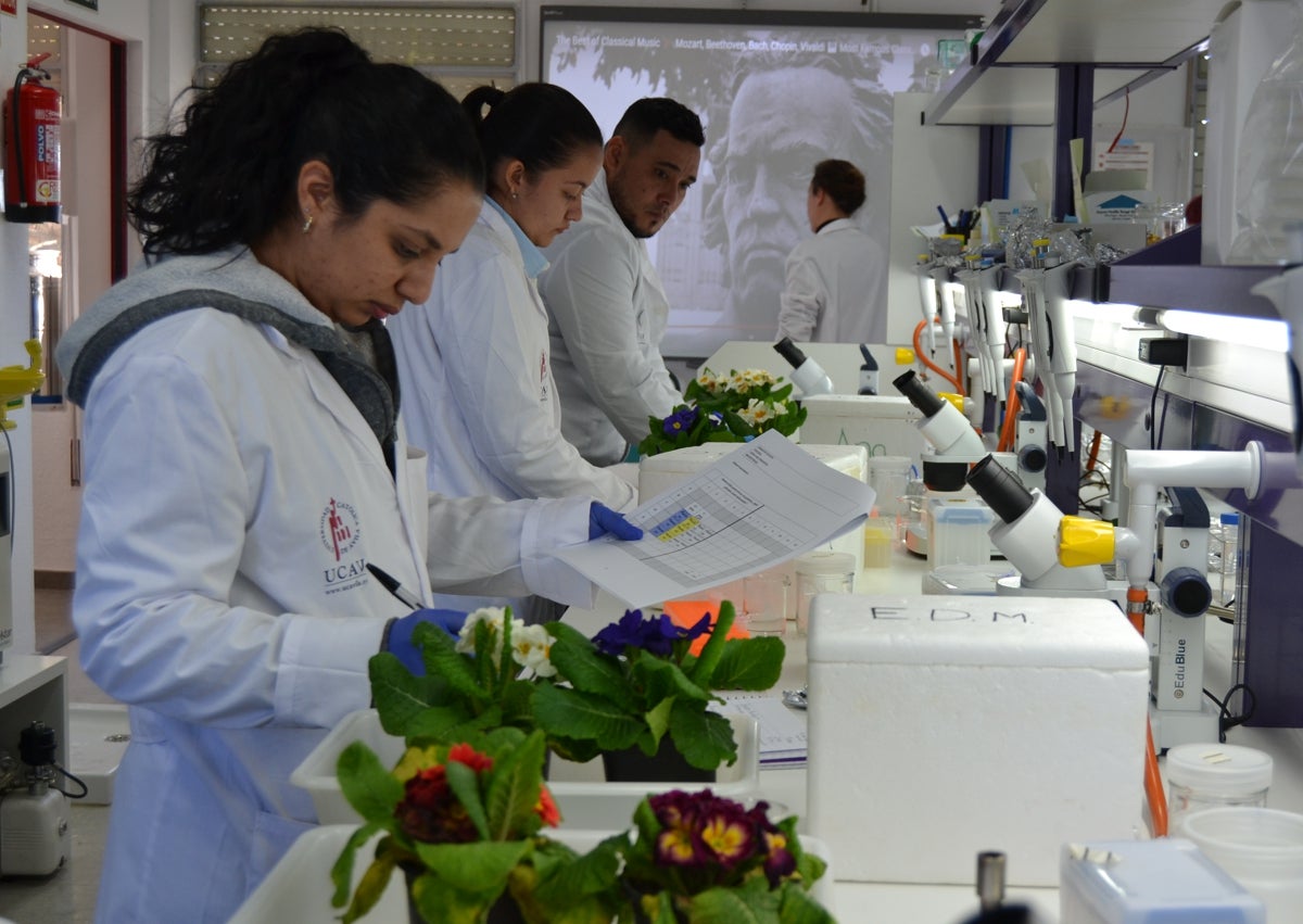 Imagen secundaria 1 - Clases y laboratorio de la UCAV. La rectora de la Universidad, María del Rosario Sáez