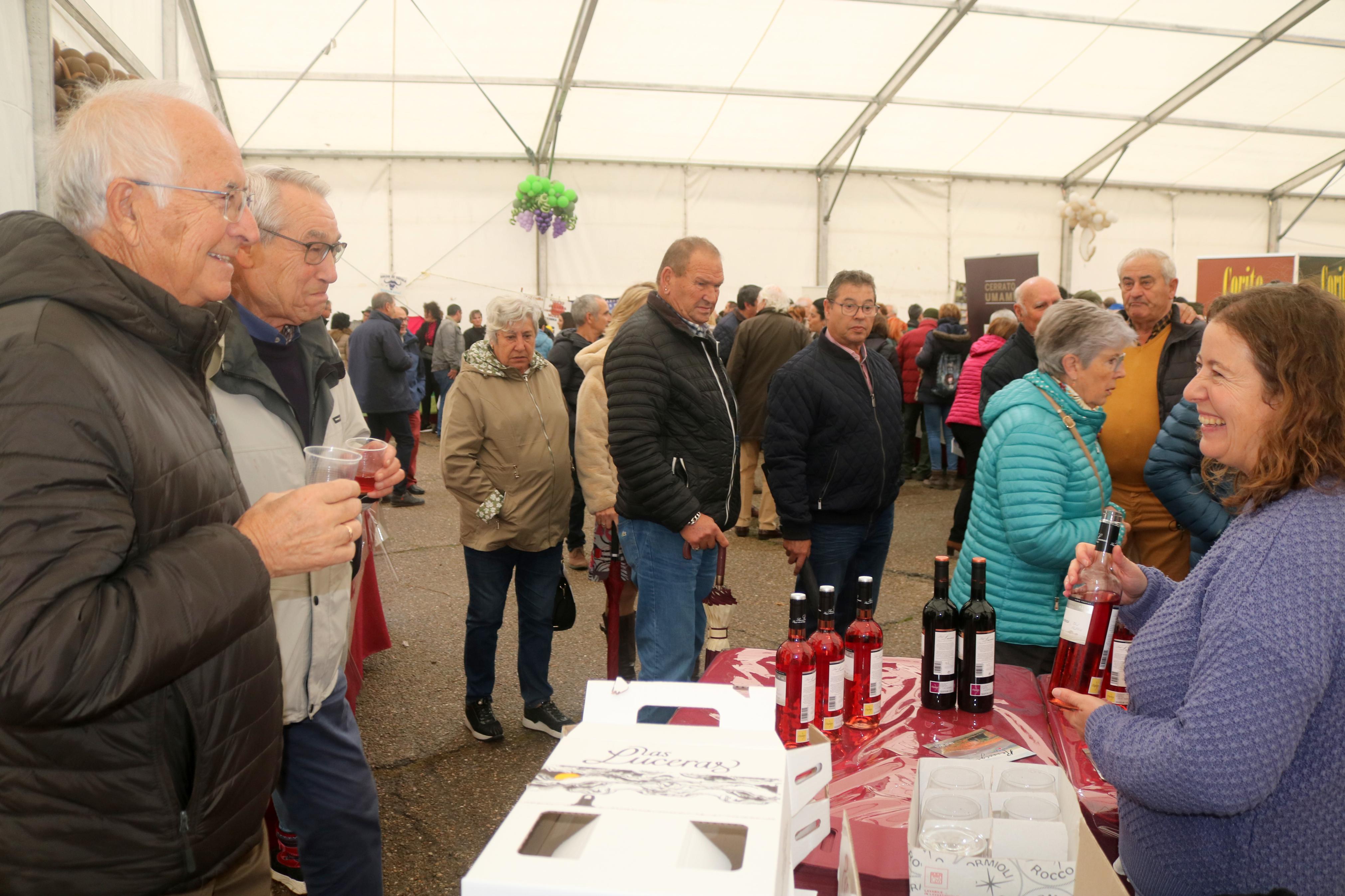 XII Feria del Queso y Vino de Baltanás