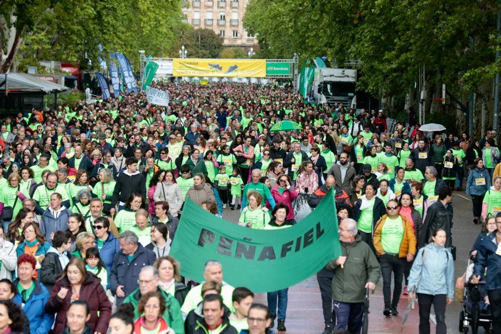 En imágenes, la XII Marcha contra el Cáncer de Valladolid (1/5)