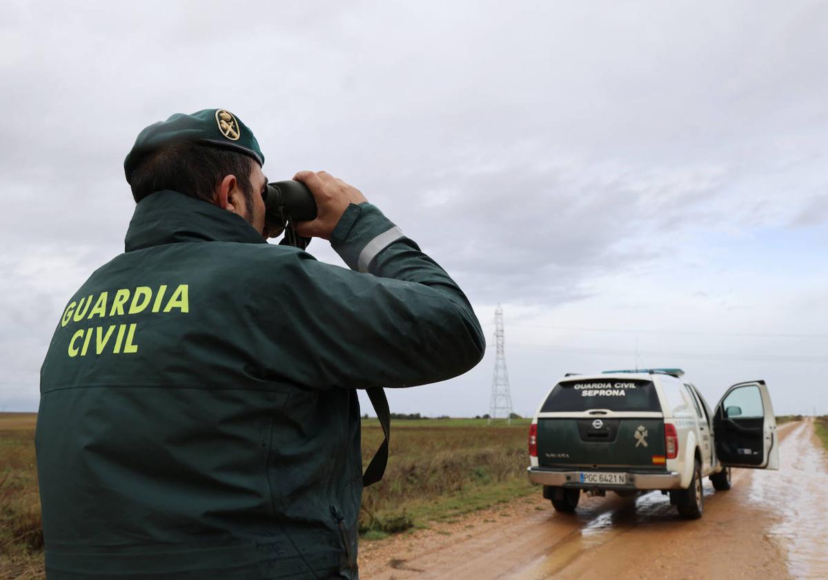 Agentes de la Guardia Civil buscan a uno de los perros.