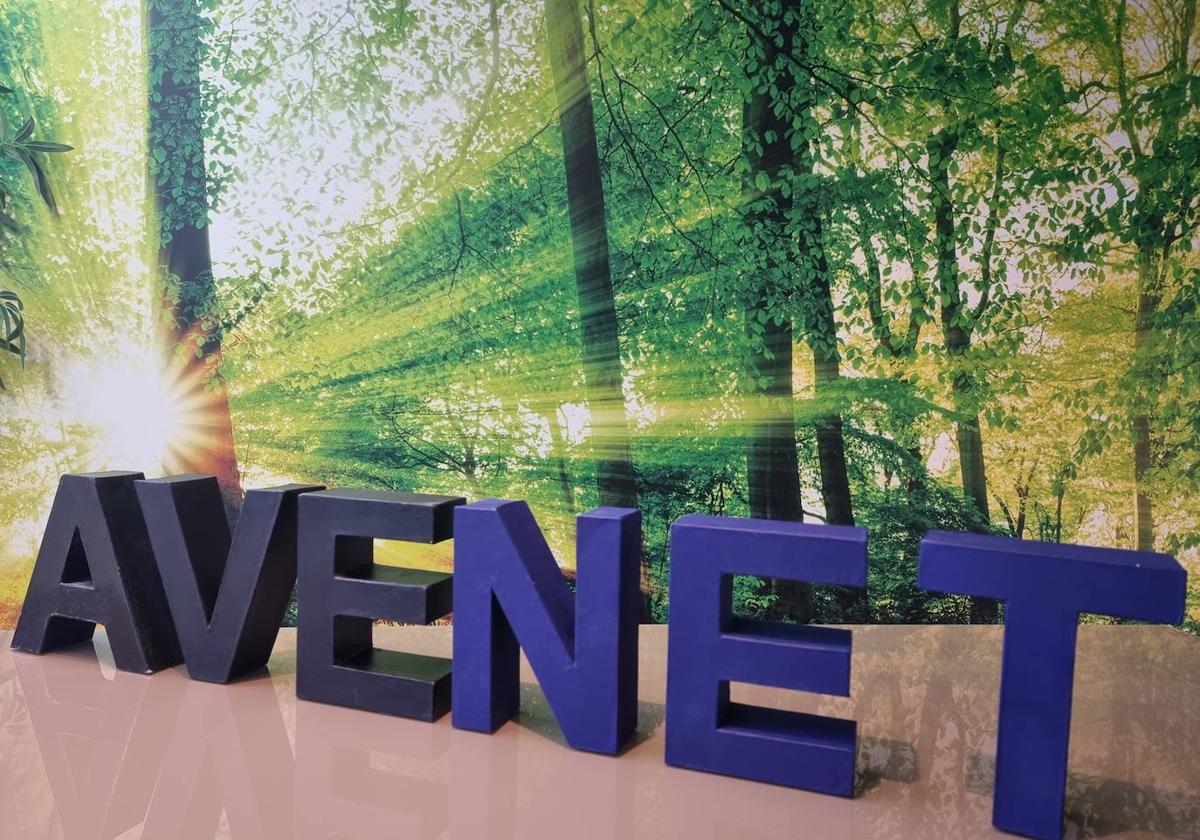 AVENET IT, equipo y talento para soluciones innovadoras