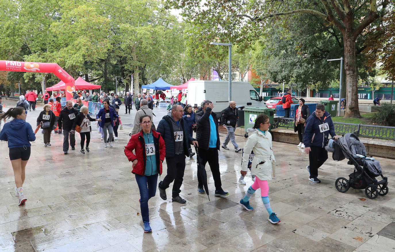 Los palentinos participan en la carrera sin alcohol bajo la lluvia