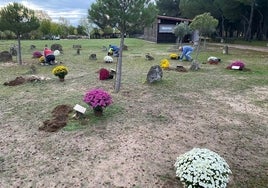 Responsables del Centro de Estudios Vacceos Federico Wattenberg plantan las flores junto a las tumbas de la necrópolis vaccea de Las Ruedas, en el yacimiento arqueológico de la ciudad de Pintia.