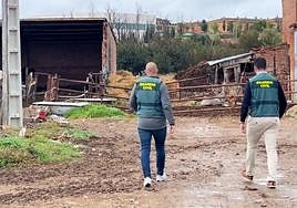 Dos agentes de la Guardia Civil investigan una de las explotaciones ganaderas.