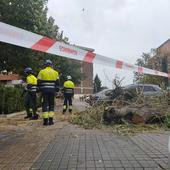 La ciclogénesis sacude con fuerza Segovia y derriba vallas y ramas de árboles