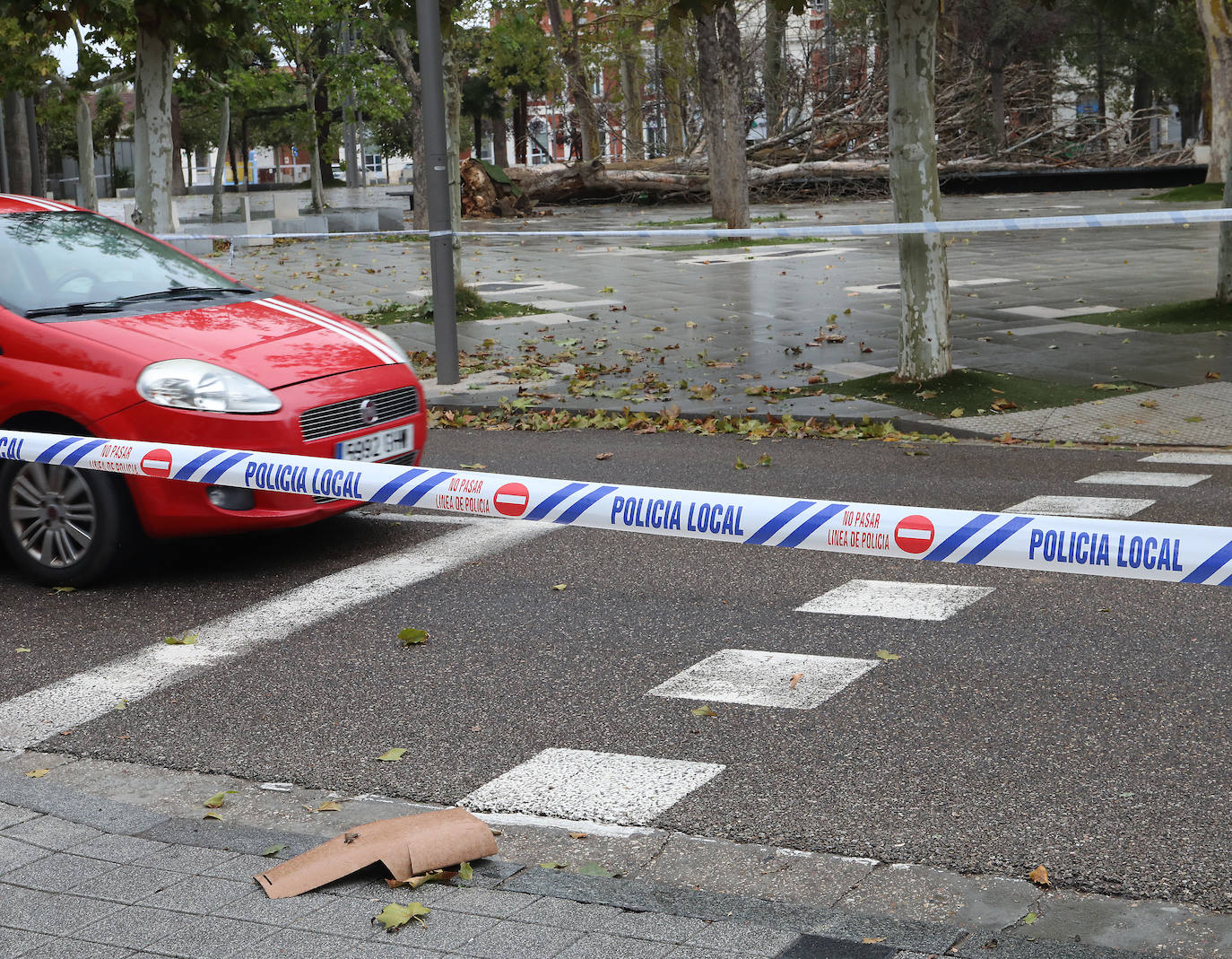 Los efectos de las intensas rachas de viento en Palencia