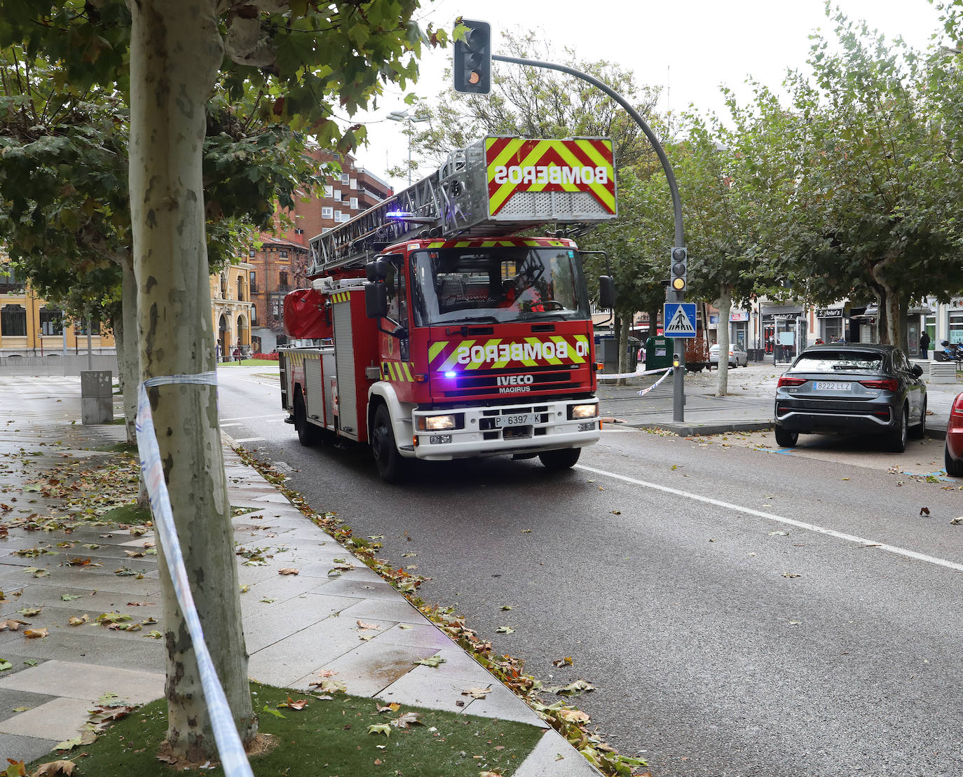 Los efectos de las intensas rachas de viento en Palencia