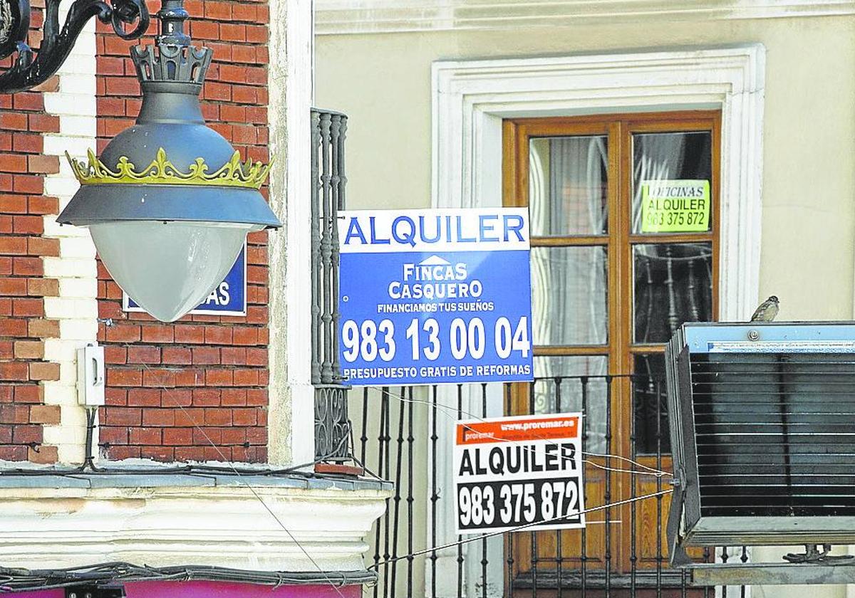 Carteles que anuncian pisos y oficinas en alquiler en Valladolid.