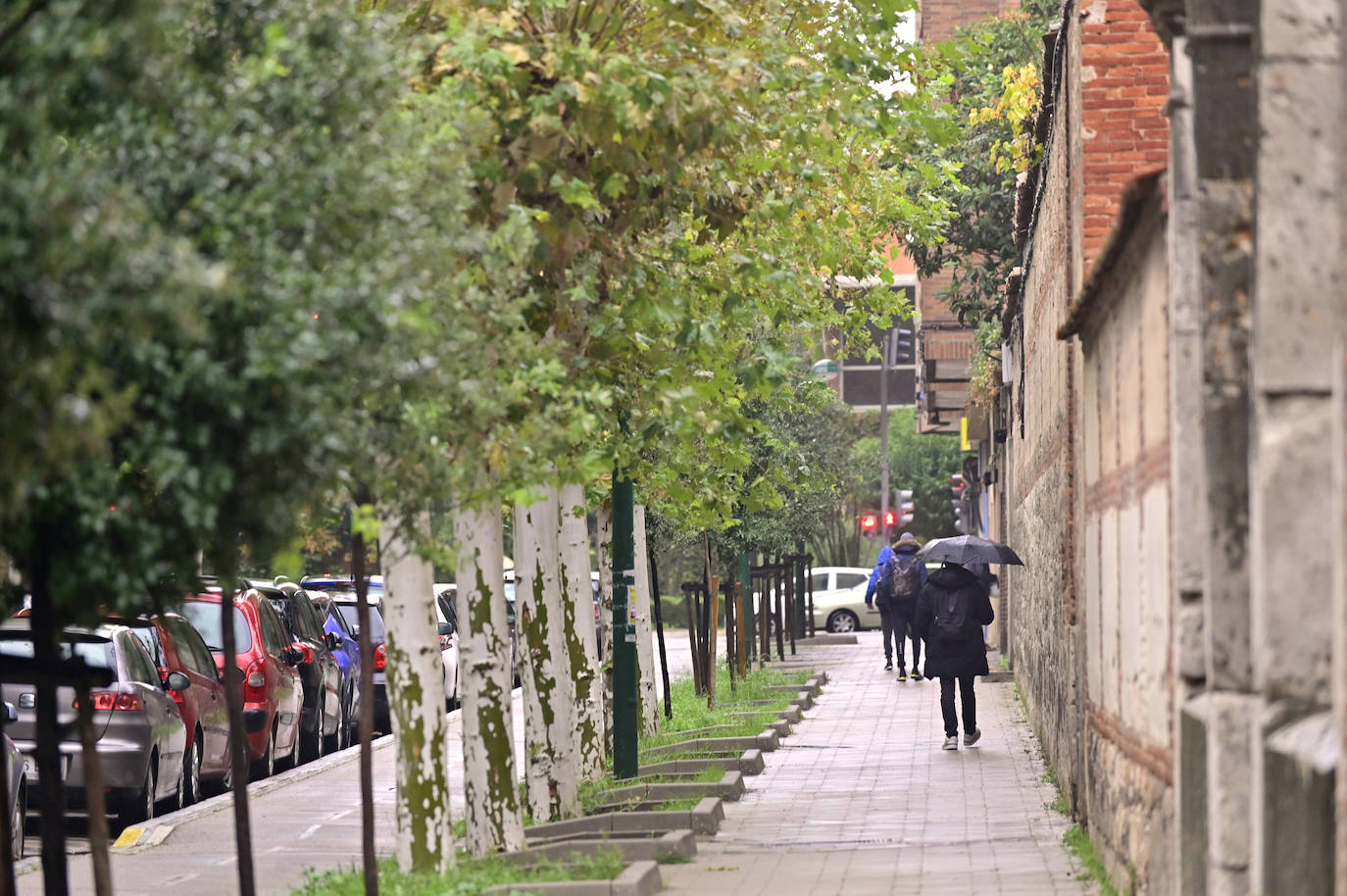 Recorre, en imágenes, el paseo del Prado de la Magdalena